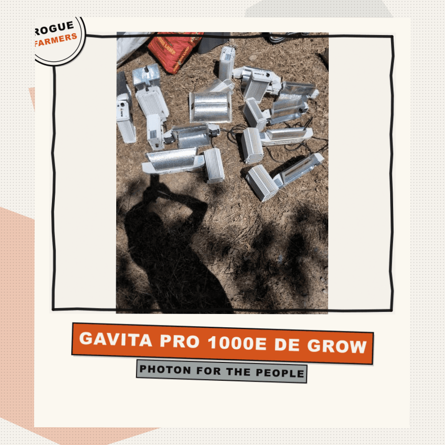 Gavita Pro 1000e DE Grow Light