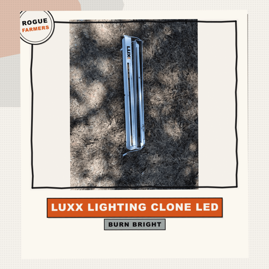 Luxx Lighting Clone LED 9000K